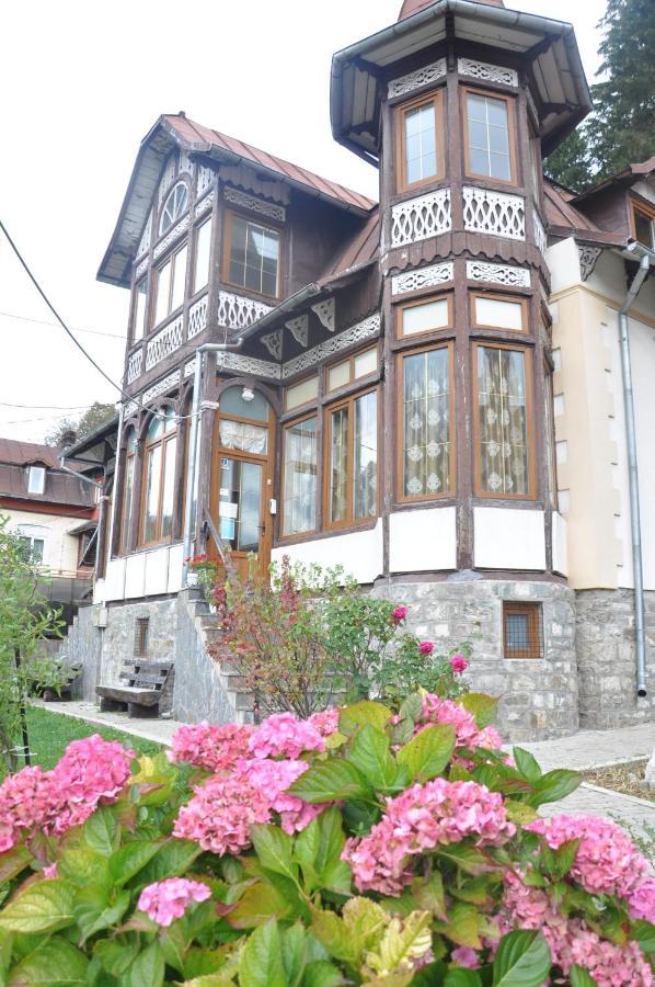 Vila Bradet Szászbuda Kültér fotó