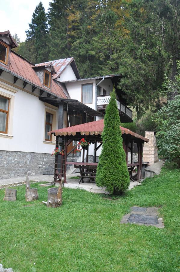 Vila Bradet Szászbuda Kültér fotó