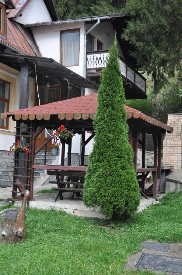 Vila Bradet Szászbuda Kültér fotó