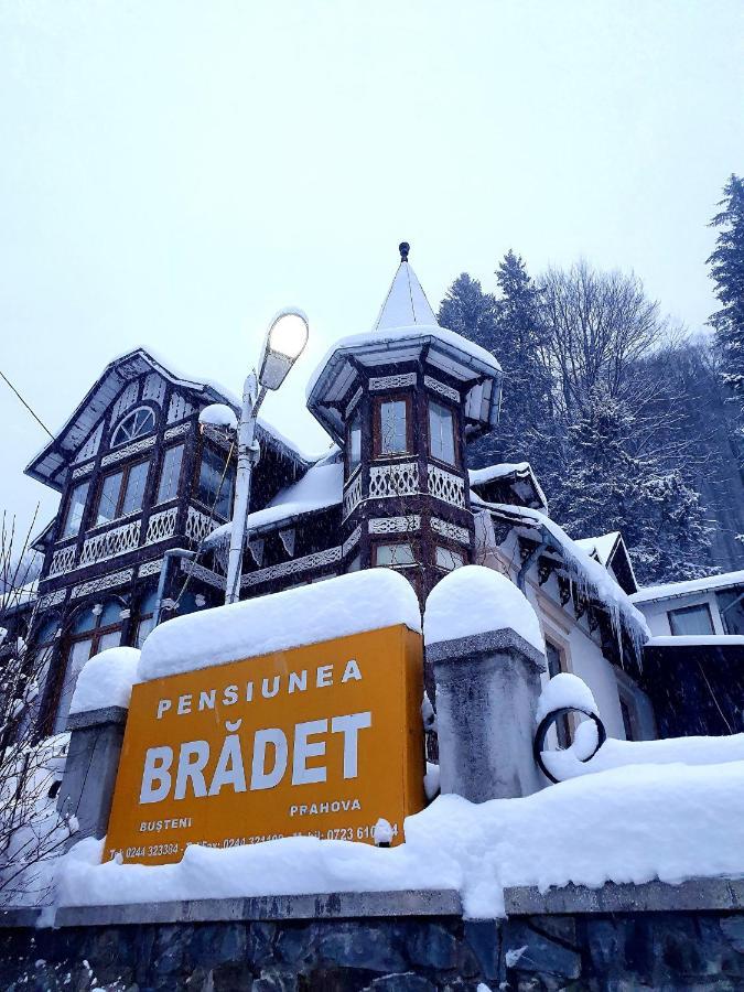 Vila Bradet Szászbuda Kültér fotó